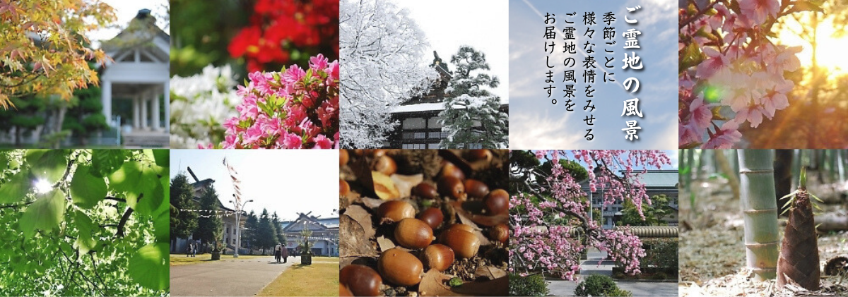 「ご霊地の風景」季節ごとに様々な表情を見せるご霊地の風景をお届けします。